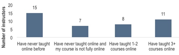 What experience did instructors have teaching online